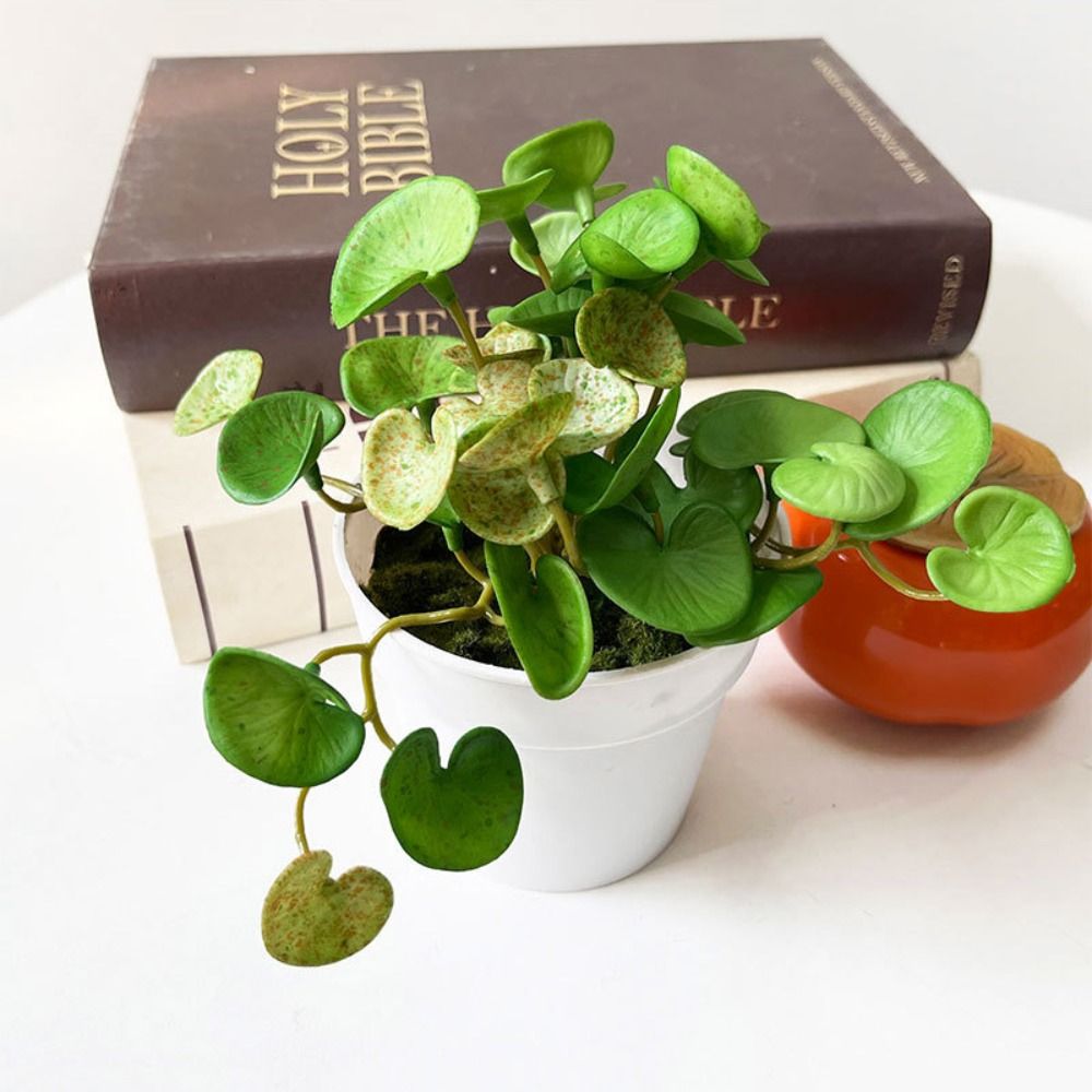Soft Glue Artificial Plant EVA - Echeveria Succulent review and price