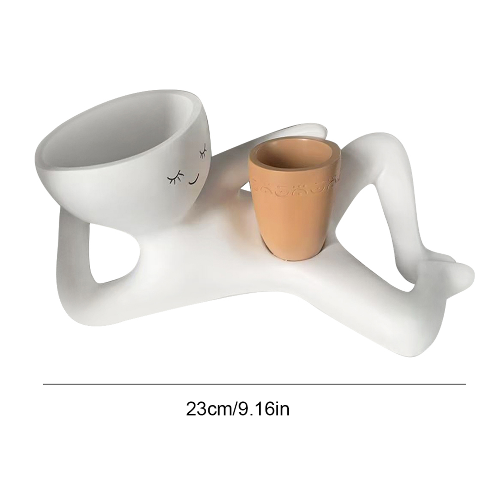 Lazy Guy Planter with Drainage - Echeveria Succulent review and price