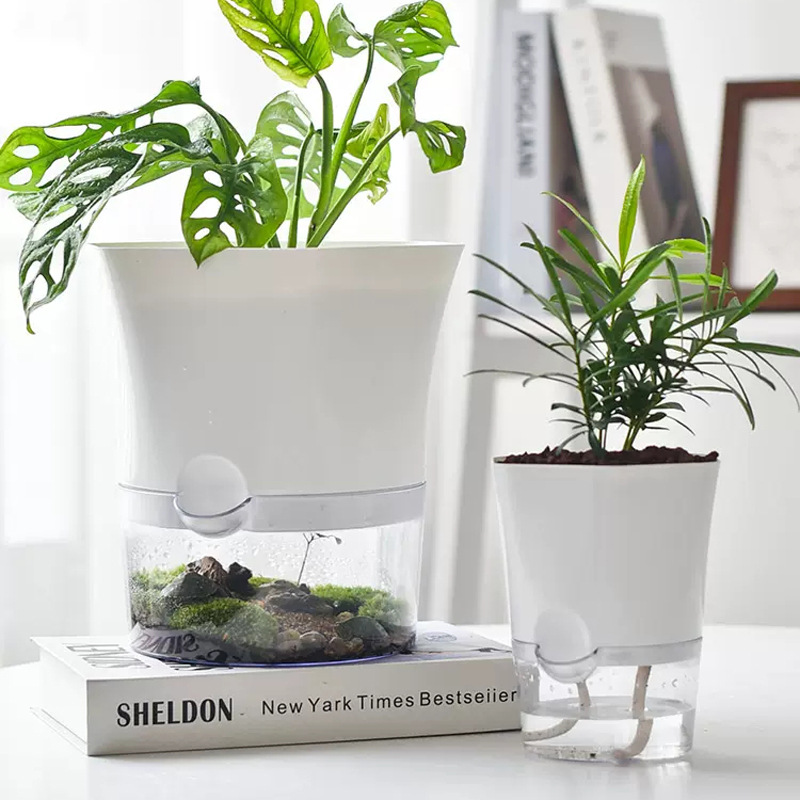 Transparent Plastic Self Water - Aloe Vera Pot review and price