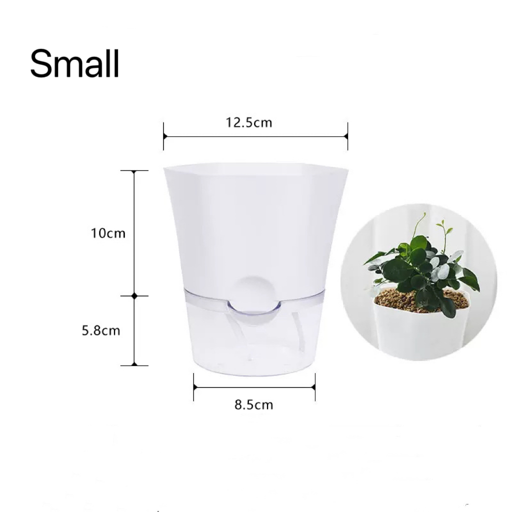 Transparent Plastic Self Water - Aloe Vera Pot review and price
