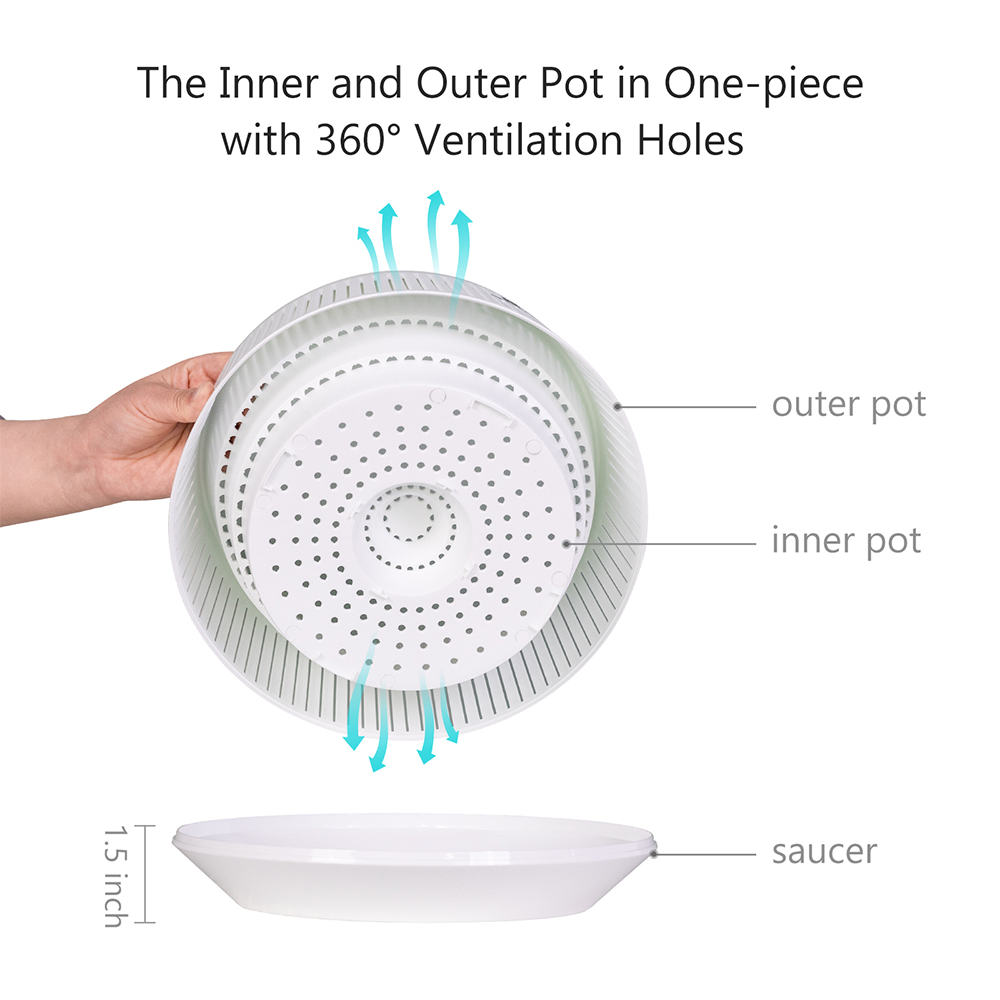 Meshpot Orchid Pot with Holes  - Aloe Vera Pot review and price