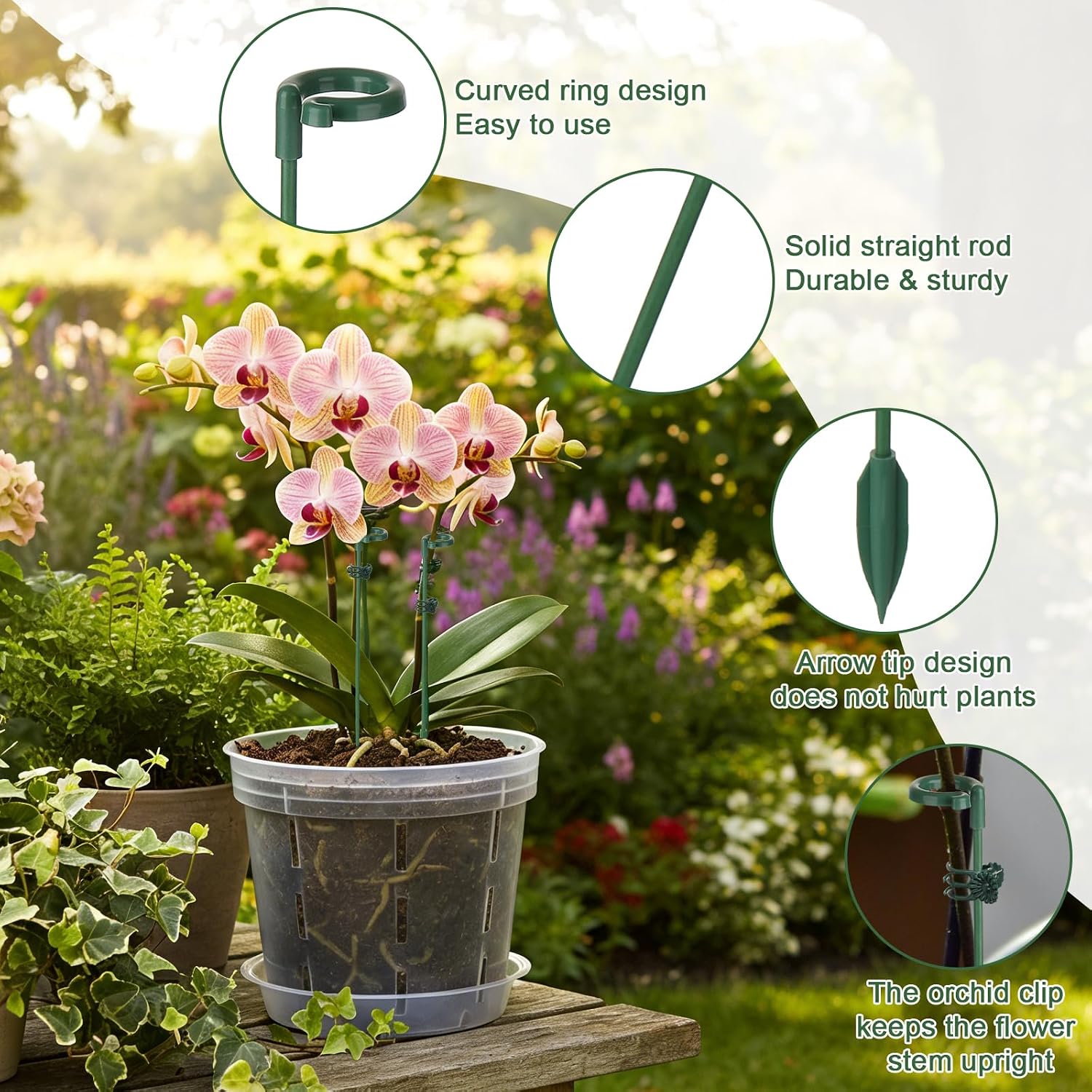 5/10pcs Plant Support Stakes P - Echeveria Succulent review and price