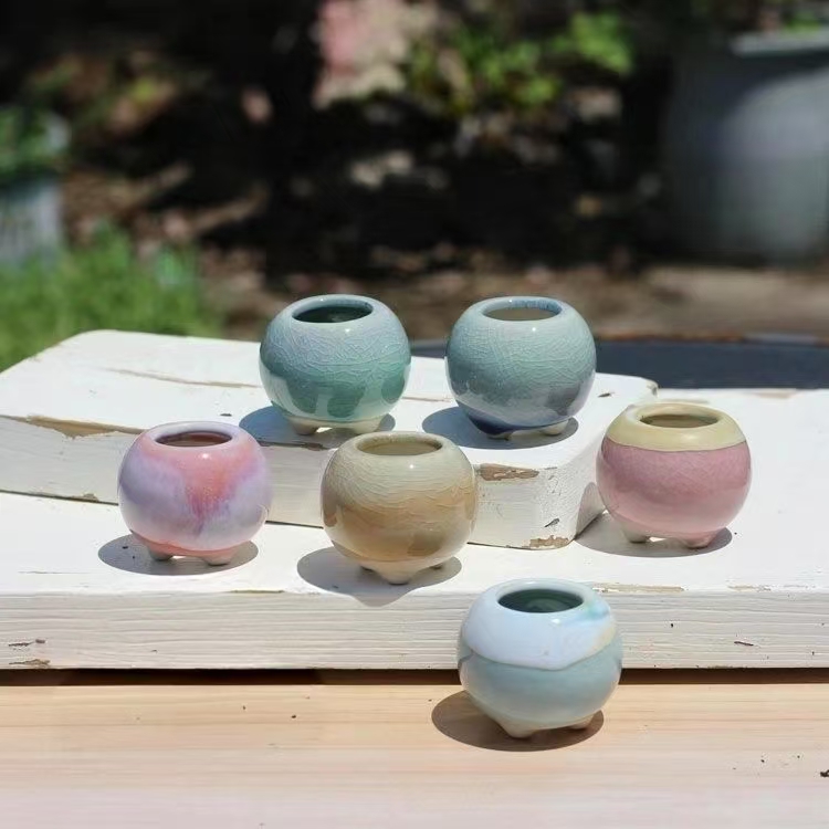 6Pcs Mini Flowerpot Succulents - Echeveria Succulent review and price
